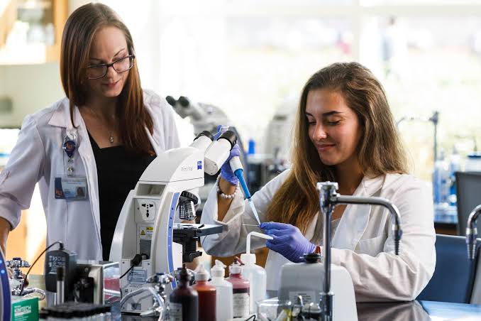 Bachelor of Medical Sciences